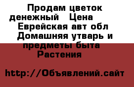 Продам цветок денежный › Цена ­ 500 - Еврейская авт.обл. Домашняя утварь и предметы быта » Растения   